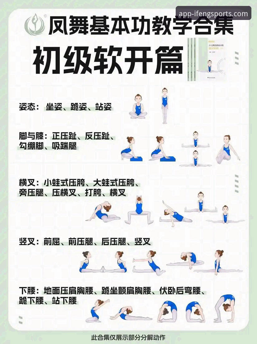 凤凰体育新手教程对比 揭秘凤凰体育新手教程对比:3分钟找到最适合你的入门路径